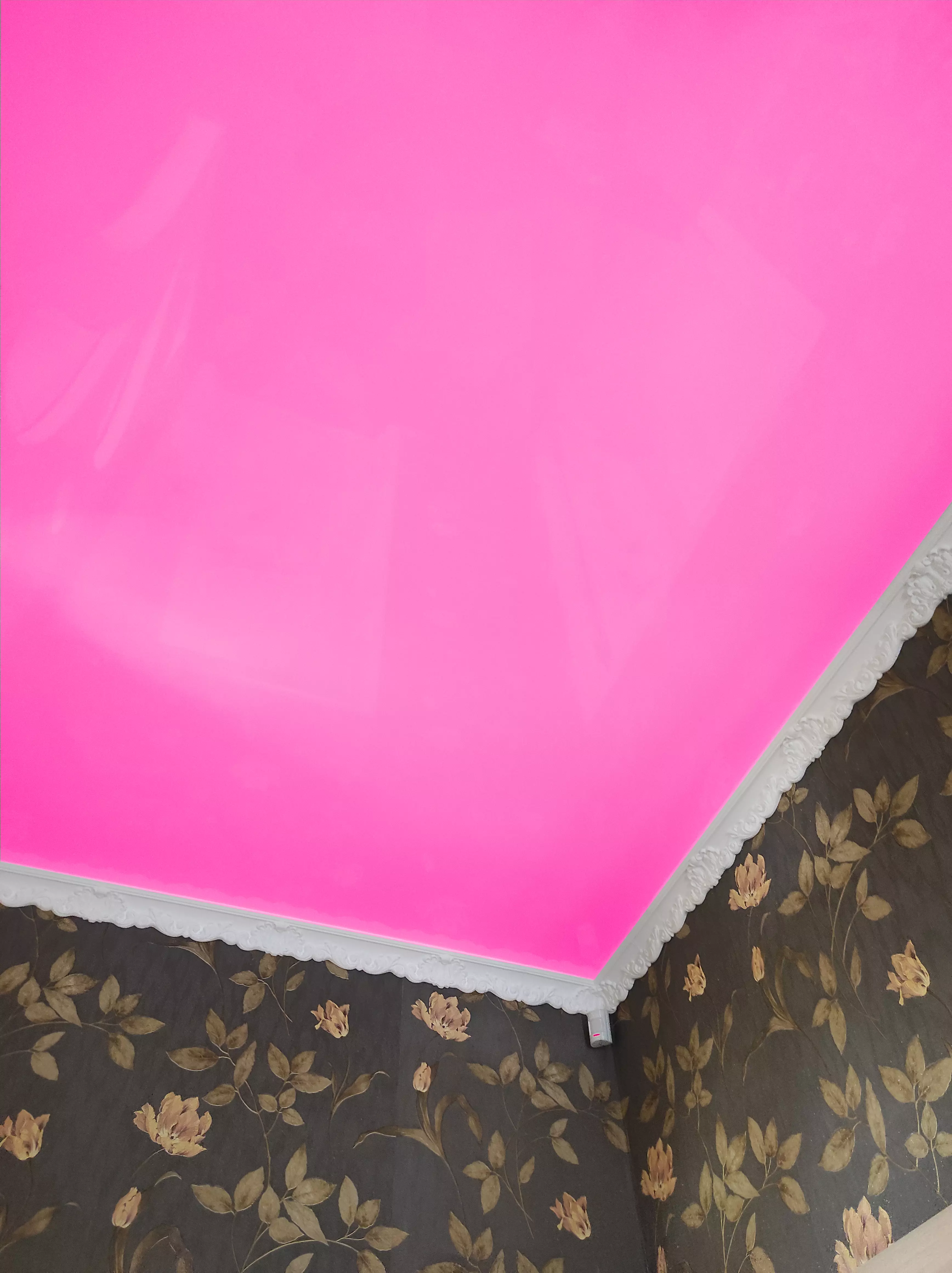 Северск, , фото 2